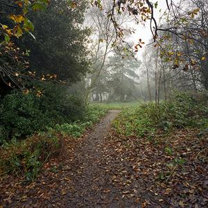 Hampstead Heath