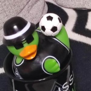 Die Fohlen die einzig wahre Borussia