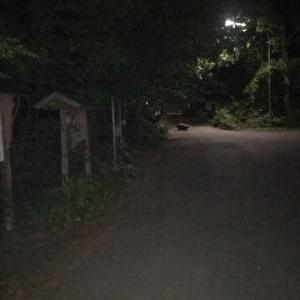 Gelegentliche erotische Treffen Marienstatt