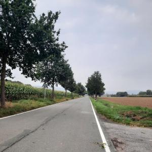 Straße zur Fähre Grossenwieden