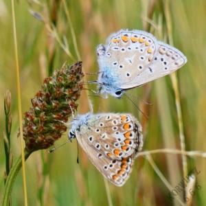 N A T U R  f o t o g r a f i e