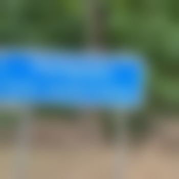 the_lonesome