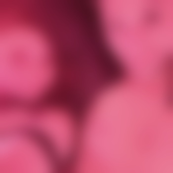 VunddiestarkenMänner