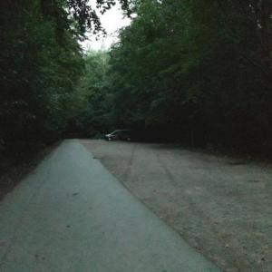 Waldparkplatz Wüstenbrand