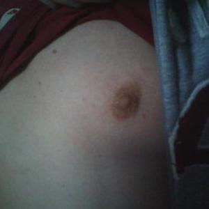 willibear40