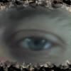 jardie