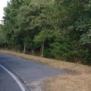 B2 Parkplatz Rednitzhembach