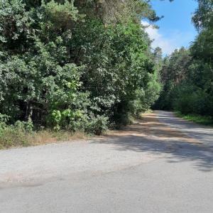 Claffheim Müllverbrennung