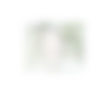 PeterBX