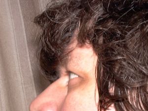 Berend2007
