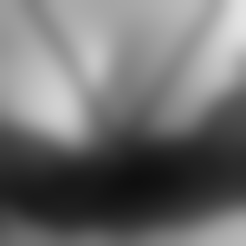 19Sonnenblume88