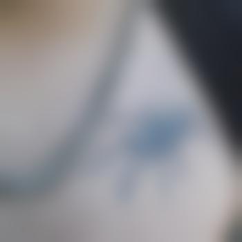 Cleanup75