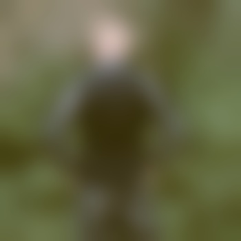 StephanAlone