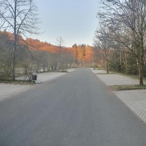Waldparkplatz Otzenhausen