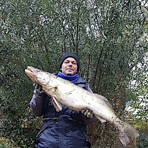 Zander68