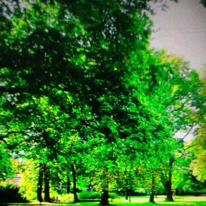 Lünen Süd südpark