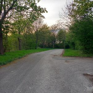 Parkplatz/ Wald-  Sex Ostermoor