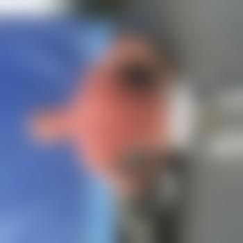 Primelpeitscher