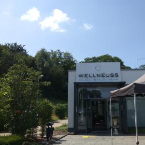 Wellneuss