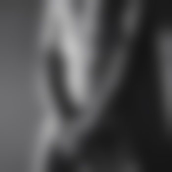 spritzfix69