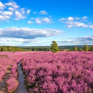 Lk Celle, Heidekreis