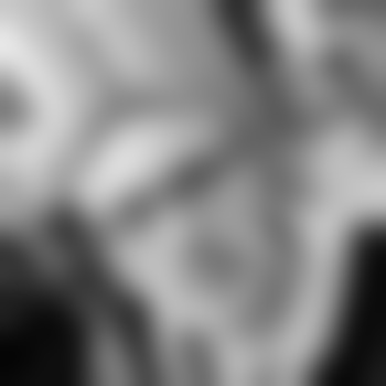 VincentVega12