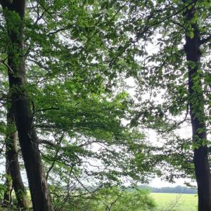 Kleiner Platz für Spaß