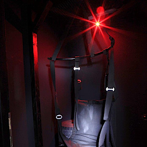 Rumvögeln Party genießen