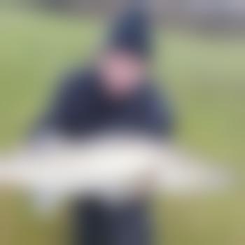 straelen535