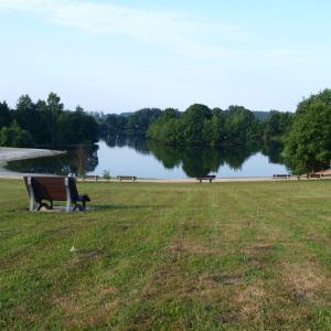 Inselsee Scharnebeck