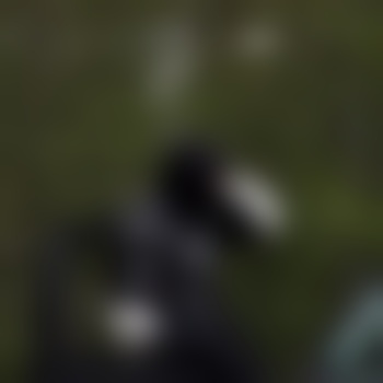 Master_089