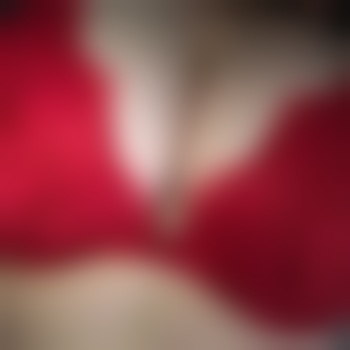 Willigesluder