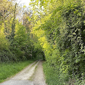 Schorndorf Hütte