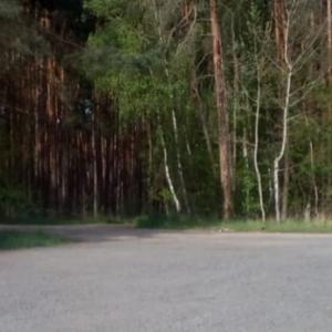 An der A24  bei Neustadt Glewe