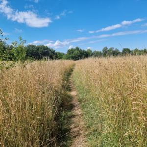 Landschaftsfotografie