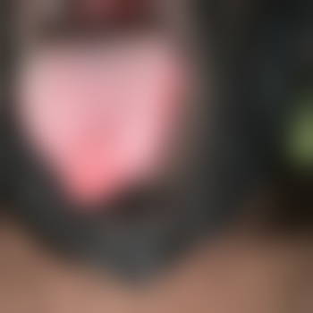 borken38586