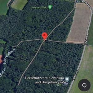 Vielauer Wald