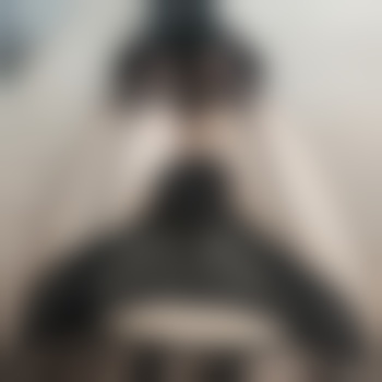 Slysn