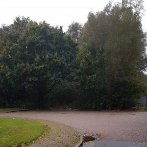 Wildbahn