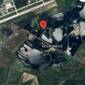 Feilenmoos