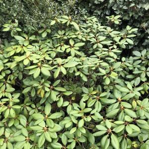 Parkplatz  in Kalkar-Wissel