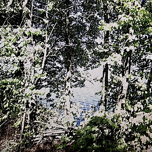 Karibik Weiher / Outdoor