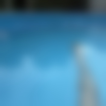 goldisthal951482