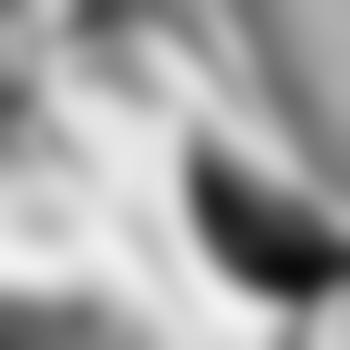 Straight_79