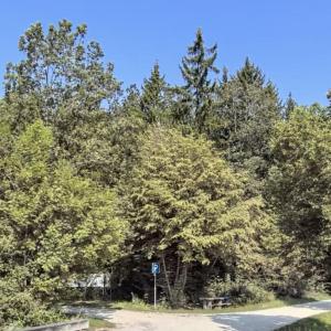 Wanderparkplatz Brunnenhau Ugenhofen Bolheim