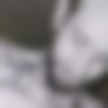Chrisy20x6