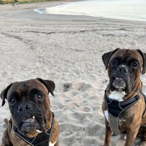 FÜ mit Marmorkuchen auf PP NRW