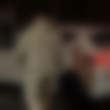 bergisch839093