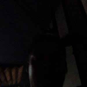 knigge1
