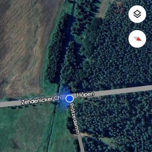 Waldweg bei Liebenwalde